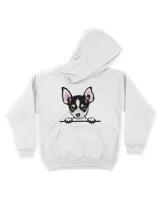 Youth Pullover Hoodie