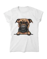 Women's Soft Style Fitted T-Shirt