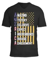 Unisex Jersey SS V-Neck T-Shirt