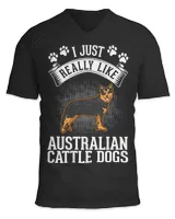 Unisex Jersey SS V-Neck T-Shirt