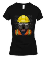 Women's Soft Style Fitted T-Shirt Women's Soft Style Fitted T-Shirt