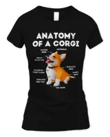 Women's Soft Style Fitted T-Shirt Women's Soft Style Fitted T-Shirt