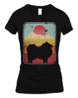 Women's Soft Style Fitted T-Shirt Women's Soft Style Fitted T-Shirt