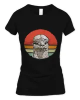 Women's Soft Style Fitted T-Shirt Women's Soft Style Fitted T-Shirt