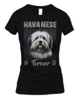 Women's Soft Style Fitted T-Shirt Women's Soft Style Fitted T-Shirt
