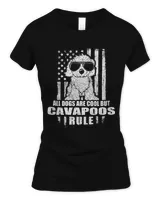 Women's Soft Style Fitted T-Shirt Women's Soft Style Fitted T-Shirt