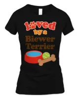 Women's Soft Style Fitted T-Shirt Women's Soft Style Fitted T-Shirt
