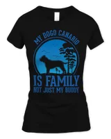 Women's Soft Style Fitted T-Shirt Women's Soft Style Fitted T-Shirt