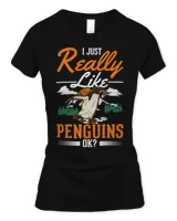 Women's Soft Style Fitted T-Shirt Women's Soft Style Fitted T-Shirt