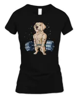 Women's Soft Style Fitted T-Shirt