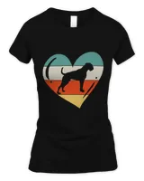 Women's Soft Style Fitted T-Shirt