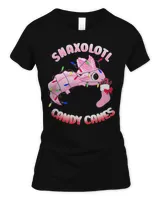 Women's Soft Style Fitted T-Shirt