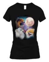 Women's Soft Style Fitted T-Shirt
