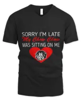 Men's V-Neck T-Shirt Men's V-Neck T-Shirt
