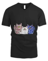 Men's V-Neck T-Shirt Men's V-Neck T-Shirt
