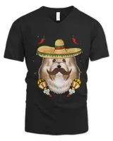 Men's V-Neck T-Shirt Men's V-Neck T-Shirt