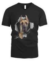 Men's V-Neck T-Shirt Men's V-Neck T-Shirt