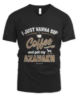Men's V-Neck T-Shirt Men's V-Neck T-Shirt