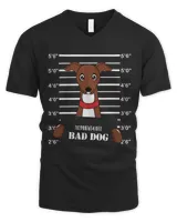 Men's V-Neck T-Shirt Men's V-Neck T-Shirt