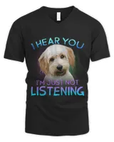 Men's V-Neck T-Shirt Men's V-Neck T-Shirt