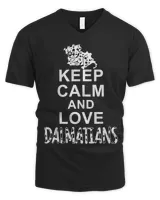 Men's V-Neck T-Shirt Men's V-Neck T-Shirt
