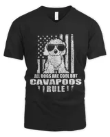 Men's V-Neck T-Shirt Men's V-Neck T-Shirt