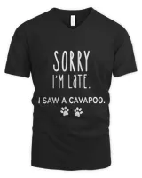 Men's V-Neck T-Shirt Men's V-Neck T-Shirt