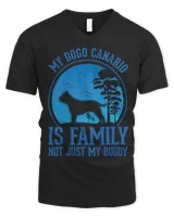 Men's V-Neck T-Shirt Men's V-Neck T-Shirt