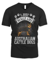 Men's V-Neck T-Shirt