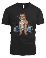 Men's V-Neck T-Shirt Men's V-Neck T-Shirt