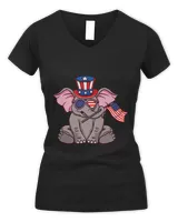 Women's V-Neck T-Shirt Women's V-Neck T-Shirt