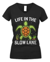 Women's V-Neck T-Shirt Women's V-Neck T-Shirt