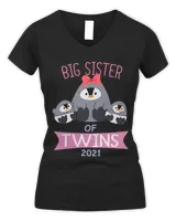 Women's V-Neck T-Shirt Women's V-Neck T-Shirt