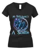 Women's V-Neck T-Shirt Women's V-Neck T-Shirt