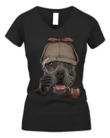 Women's V-Neck T-Shirt Women's V-Neck T-Shirt