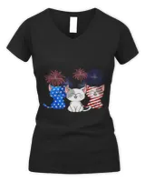 Women's V-Neck T-Shirt Women's V-Neck T-Shirt