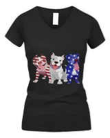 Women's V-Neck T-Shirt Women's V-Neck T-Shirt