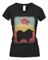 Women's V-Neck T-Shirt Women's V-Neck T-Shirt