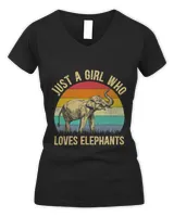 Women's V-Neck T-Shirt Women's V-Neck T-Shirt