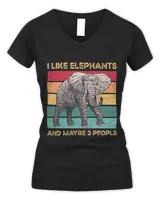 Women's V-Neck T-Shirt Women's V-Neck T-Shirt