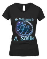 Women's V-Neck T-Shirt Women's V-Neck T-Shirt