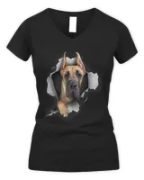 Women's V-Neck T-Shirt Women's V-Neck T-Shirt