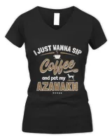 Women's V-Neck T-Shirt Women's V-Neck T-Shirt