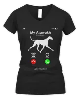 Women's V-Neck T-Shirt Women's V-Neck T-Shirt