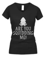 Women's V-Neck T-Shirt Women's V-Neck T-Shirt