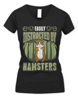 Women's V-Neck T-Shirt Women's V-Neck T-Shirt