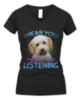 Women's V-Neck T-Shirt Women's V-Neck T-Shirt