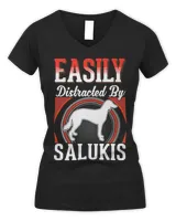Women's V-Neck T-Shirt Women's V-Neck T-Shirt
