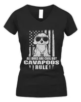 Women's V-Neck T-Shirt Women's V-Neck T-Shirt