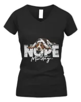 Women's V-Neck T-Shirt Women's V-Neck T-Shirt